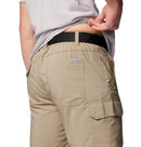 Short cargo pour hommes Silver Ridge Columbia