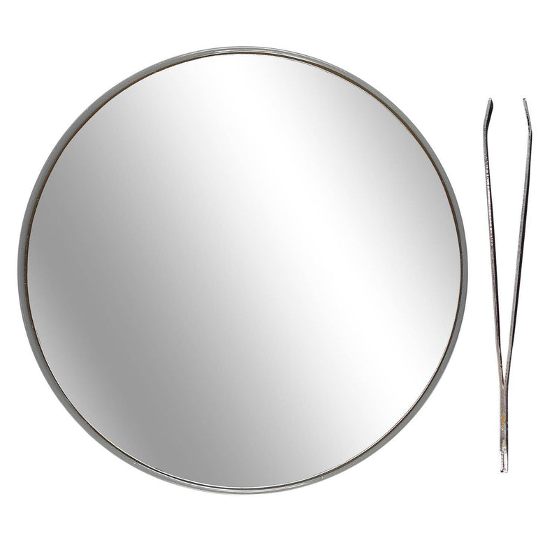 Magnifying mirror and tweezers