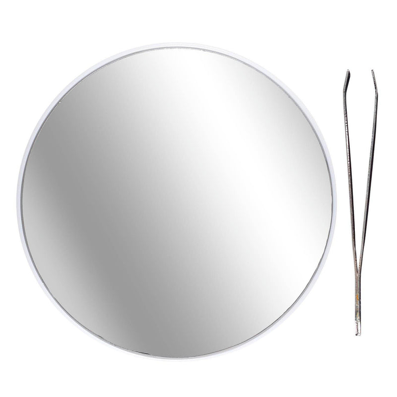 Magnifying mirror and tweezers