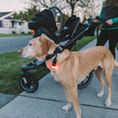 Lampe portative à mousqueton de GearAid - Exclusif en ligne