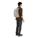 Daylite Plus Driftshade 20L hiking backpack with breathable back panel