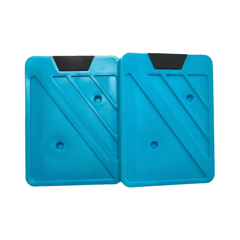 Ensemble de 2 blocs réfrigérants 350ml Pinnacle