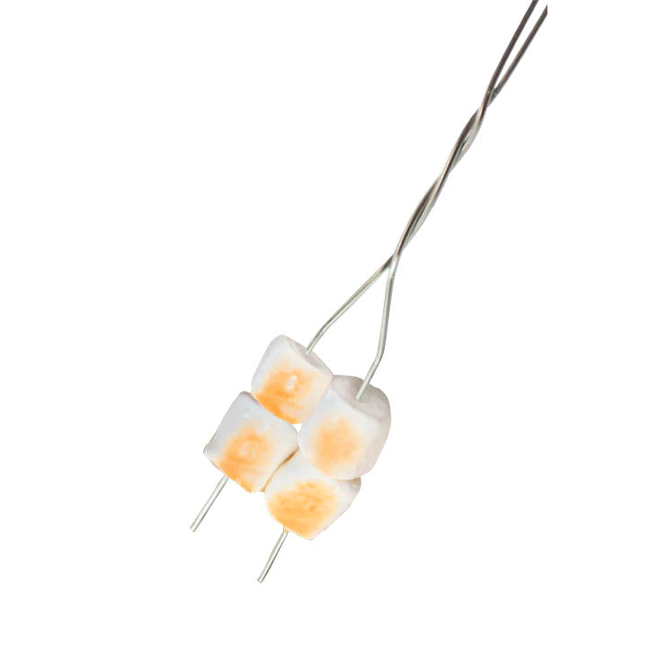 Fourchettes de grillade (ens. de 4) Coghlan - Exclusif en ligne
