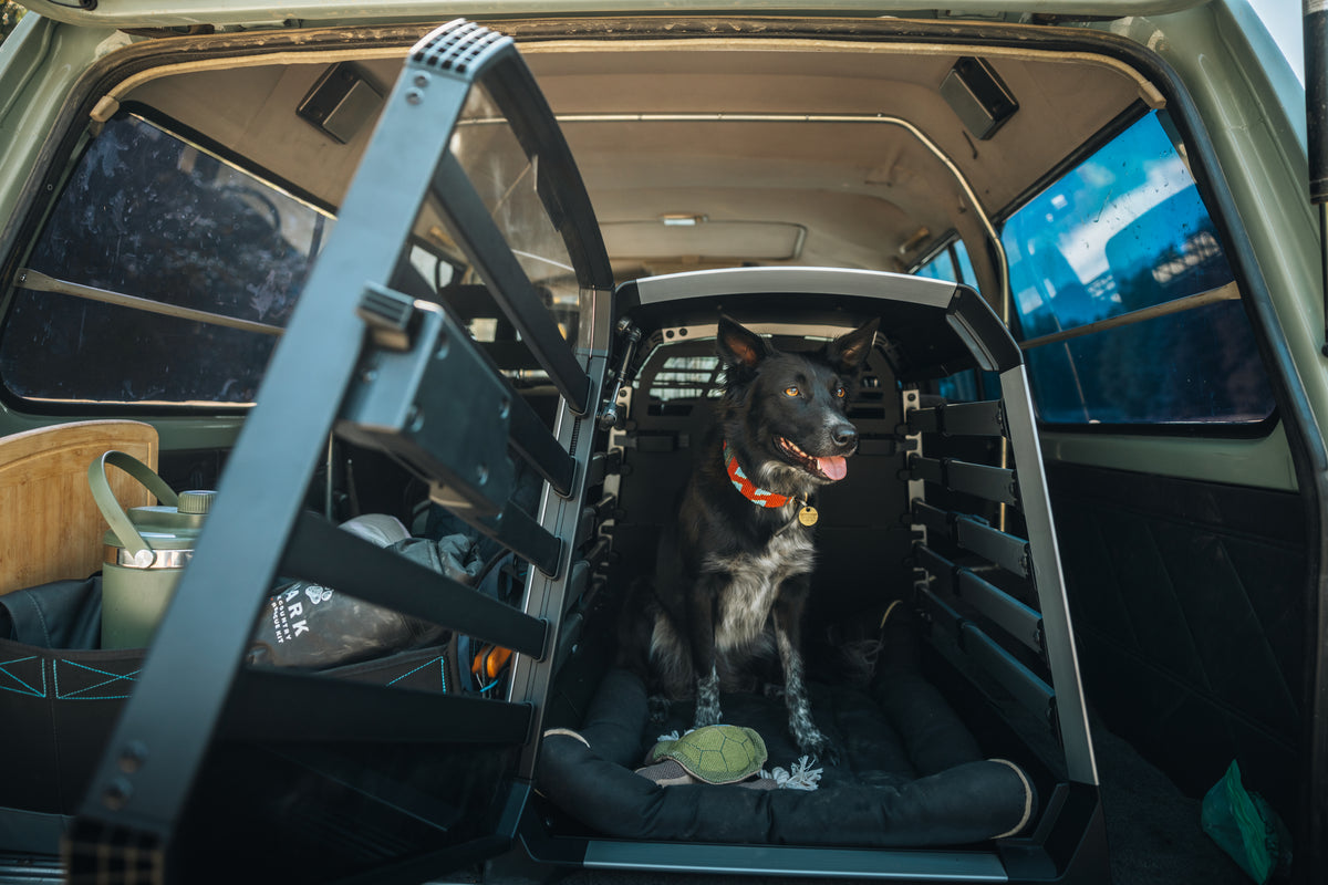 “Racing Car Dog” BANKドール Large-