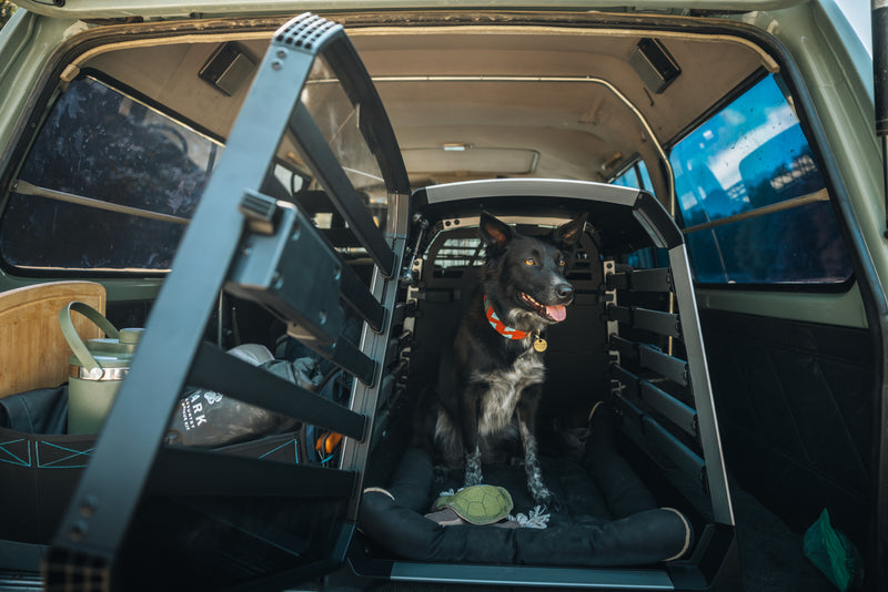 Allax Threshold M car dog crate from Thule - exclusive online
