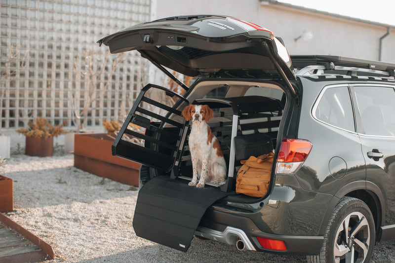 Allax S car dog crate from Thule - exclusive online