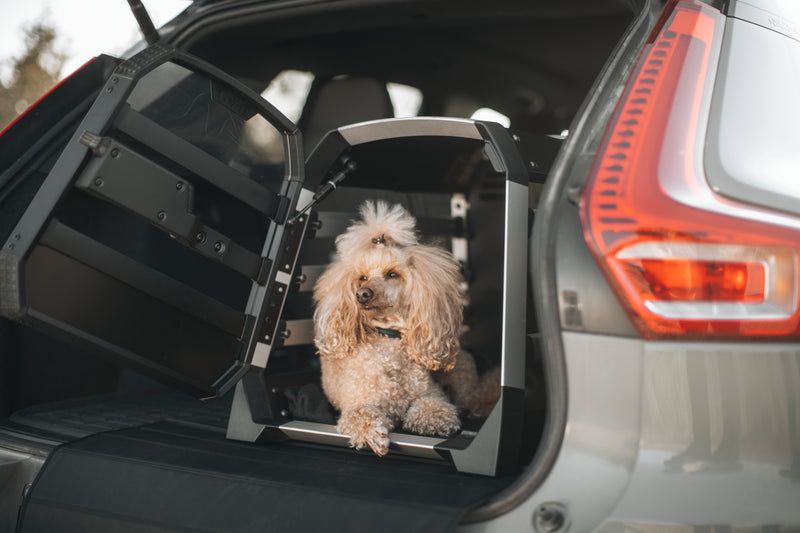 Allax XS car dog crate from Thule - exclusive online