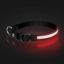 Collier lumineux LED rechargeable pour chiens - Exclusif en ligne