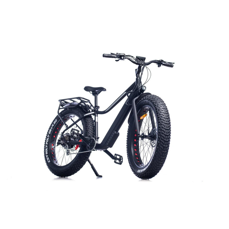 Electric Fatbike Ebze F48- Online exclusive