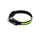 LED Light Collar for Dogs