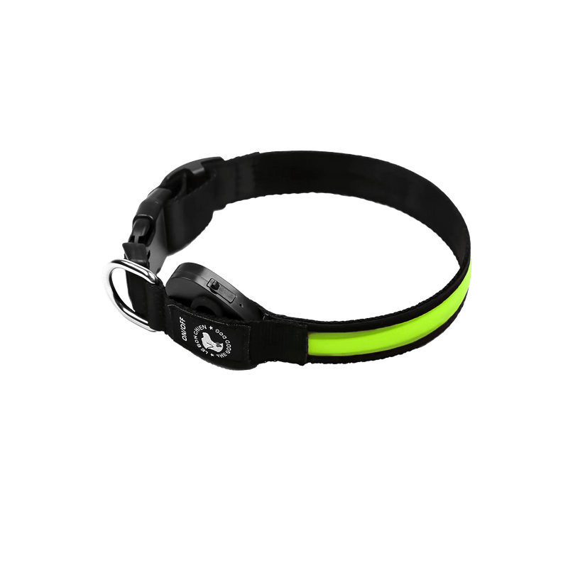 Collier lumineux au LED pour chiens