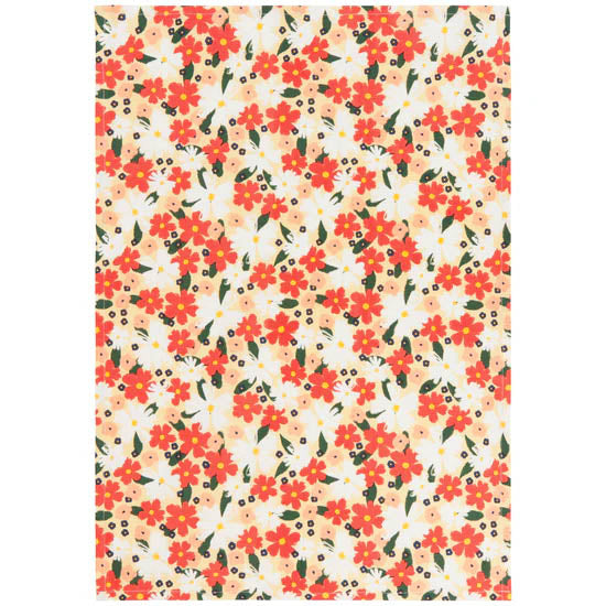 Danica dishtowels