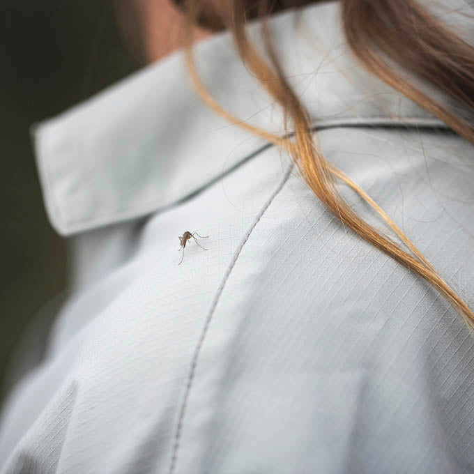 Chemise à manches longues pour femmes Expedition III Royal Robbins