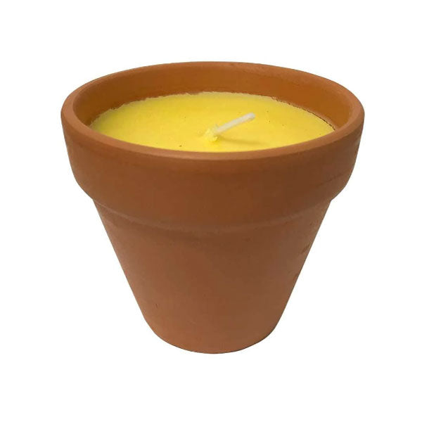 Peppermint Citronella Infused Candle In a Terracotta Pot Relaxus