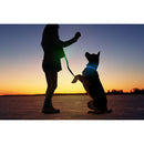 LED Light Collar for Dogs
