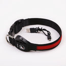 LED Light Collar for Dogs