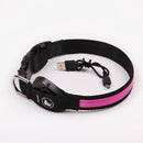 LED Light Collar for Dogs