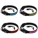 LED Light Collar for Dogs