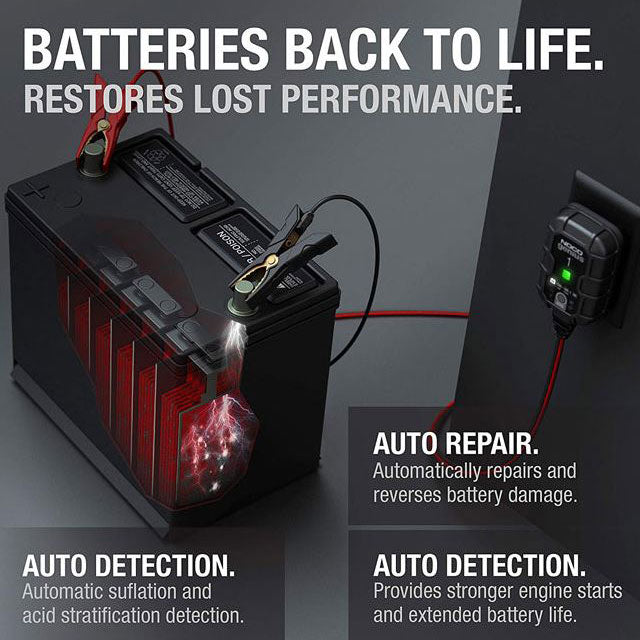 Chargeur de Batterie pour Voiture Intelligent 6A 12V Mainteneur