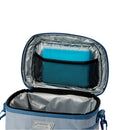 Coleman ice substitute