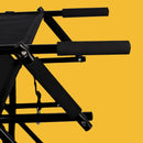 Escaliers de voiture pour chien