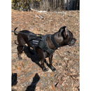 Harnais très résistant pour chien Le bon chien - Exclusif en ligne