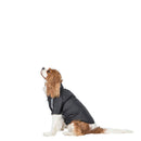 Veste imperméable pour chien Khaos