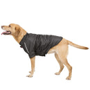 Veste imperméable pour chien Khaos