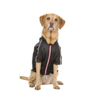 Veste imperméable pour chien Khaos