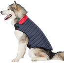Veste pour chien Kimmi X