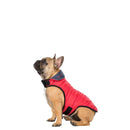 Veste pour chien Kimmi X