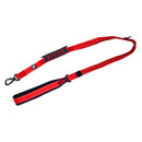 Laisse bungee avec attache pour la voiture