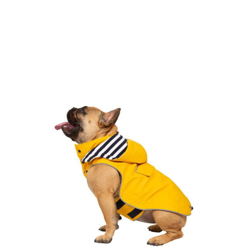 SEADOG dog waterproof jacket