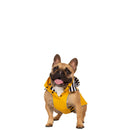 Veste imperméable pour chien Seadog