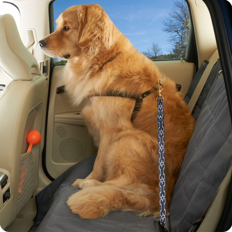 Dog car safety strap