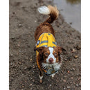 Veste de flottaison pour chien