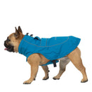 Veste pour chien Cinder