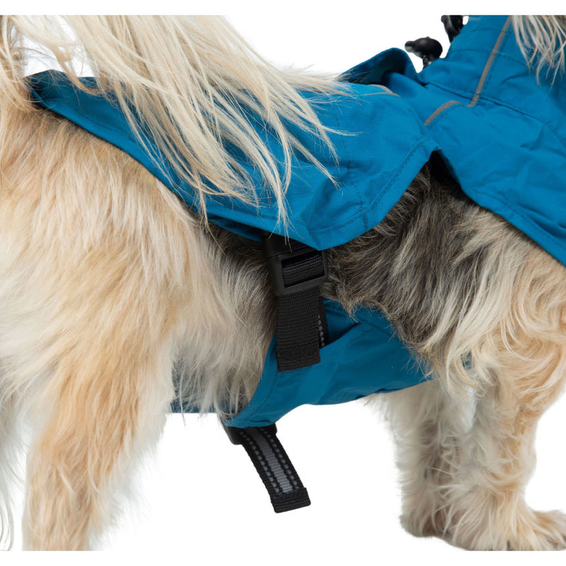 Ashtray dog jacket