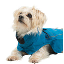 Veste pour chien Cinder