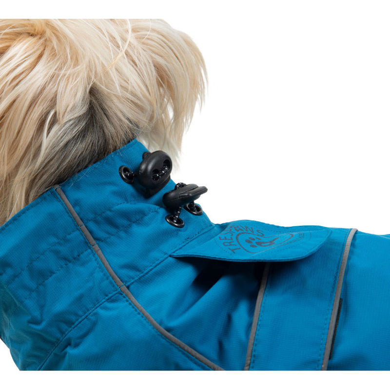 Ashtray dog jacket