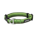 Collier pour chien Backtrack