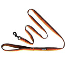 Laisse pour chien Backtrack