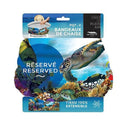 Bandeaux de chaise - Ensemble de 2