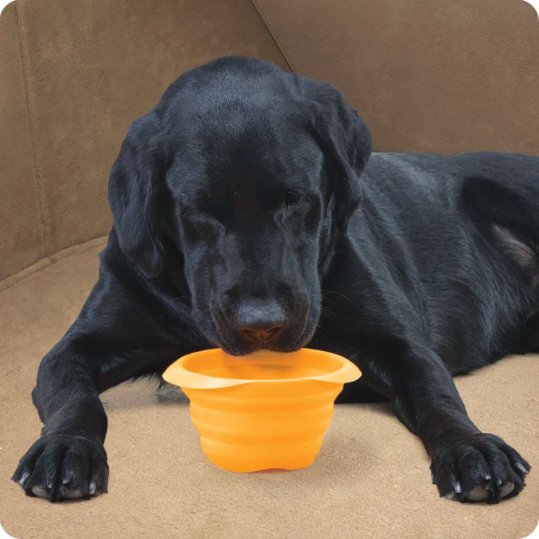 Retractable dog bowl