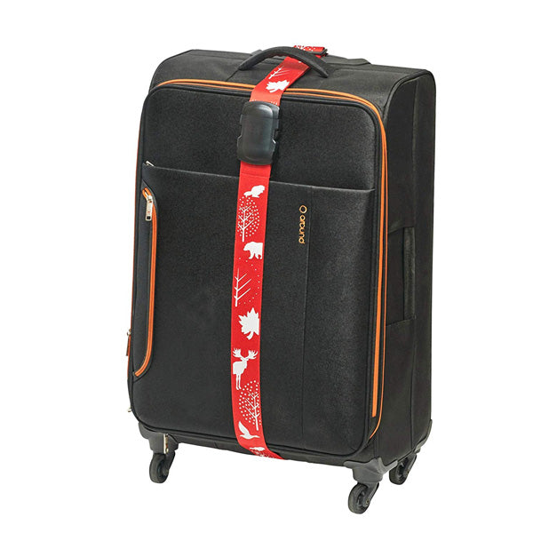 Luggage strap
