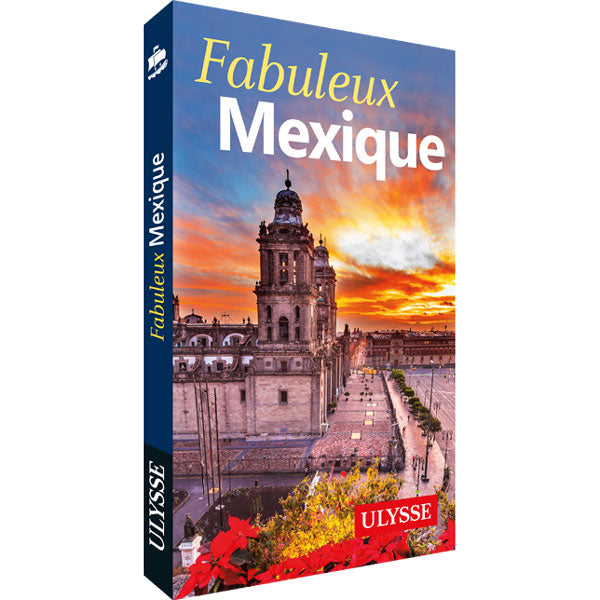Guide Mexique