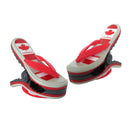 Pinces pour serviette de plage